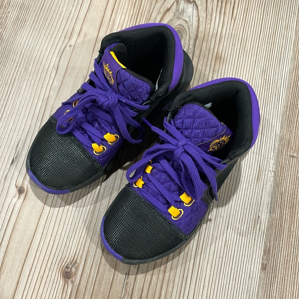 Lebron Witness 8